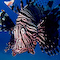 Lionfish